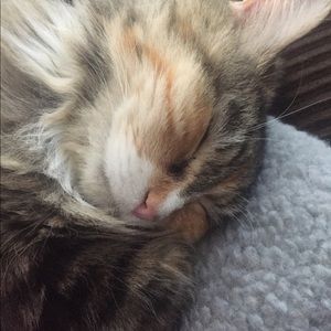 Meet your Posher, Nicole